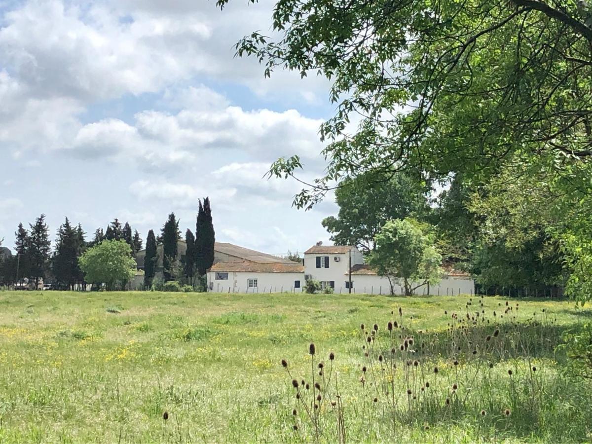 Holiday home Mas Du Pont De Laute